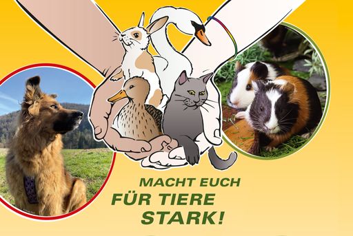  Ein Detail aus dem Poster ist abgebildet. Das Material "Macht
euch für Tiere stark!" vom Verein Tierschutz macht Schule enthält
ein Poster und Arbeitsblätter. Das Material ist kostenlos, exkl.
Versand, bestellbar. www.tierschutzmachtschule.at