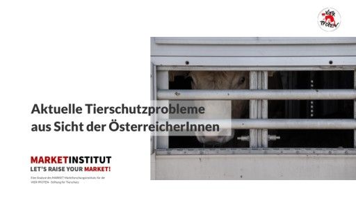 Vorschau Bild von Umfrage des Market Instituts zum Welttierschutztag im Auftrag von VIER PFOTEN