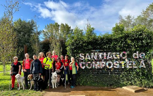 Mit vereinten Kräften und gegenseitiger Unterstützung sowie durch
die Kraft der Mensch-Tier-Beziehung, ist die Gruppe am Samstag, dem
28.9.2024, glücklich an ihrem Ziel Santiago de Compostela
angekommen.