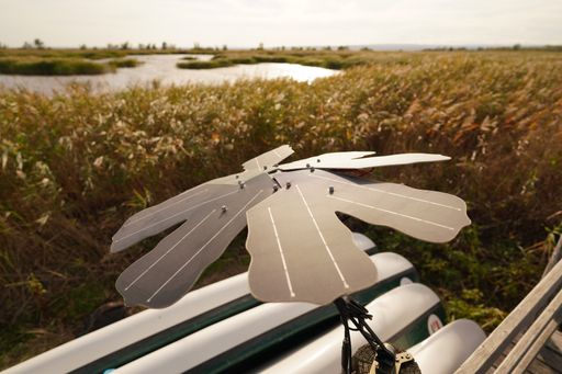 Lake Neusiedl: AI and acoustic monitoring provide new insights into biodiversity