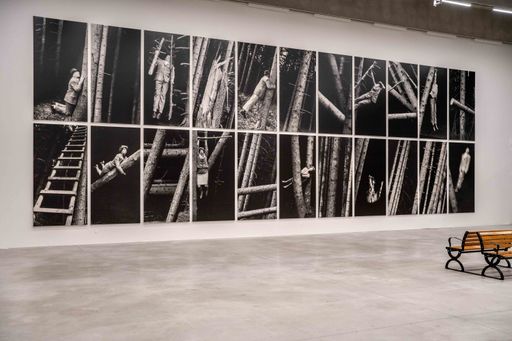 Vorschau Bild von ANNA & BERNHARD BLUME. KOMPLIZENSCHAFT (A=B) 12.10.2024 -
16.03.2025 Kunsthalle Krems