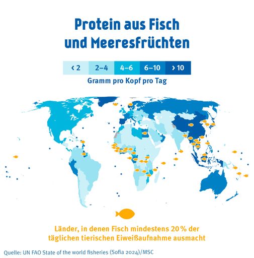 Fish for world nutrition – urgent need for action for global food security