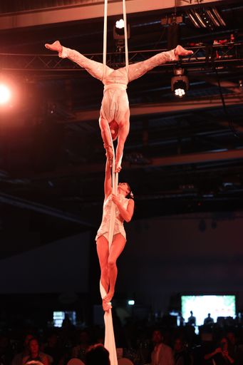 Vorschau Bild von ... begeisterte mit ästhetischer Akrobatik.