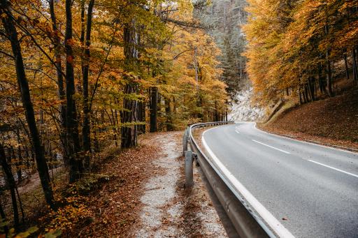 Hike safely through the Höllental: Nature lovers start building the hiking trail from Kaiserbrunn to the former Singerin inn