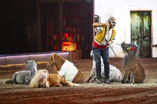 Vorschau Bild von Pony Freiheit von Bartolo Messina / Weiterer Text über ots und
www.presseportal.de/nr/55914 / Die Verwendung dieses Bildes für
redaktionelle Zwecke ist unter Beachtung aller mitgeteilten
Nutzungsbedingungen zulässig und dann auch honorarfrei.
Veröffentlichung ausschließlich mit Bildrechte-Hinweis.