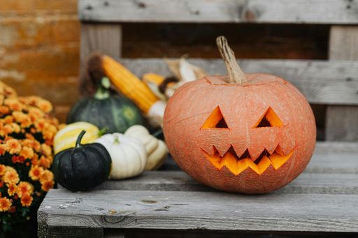 Zierkürbisse sind nicht essbar, der klassische Halloweenkürbis
ist jedoch in der Regel ein Speisekürbis.
