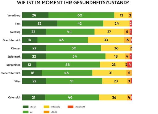  Austrian Health Report 2024/25