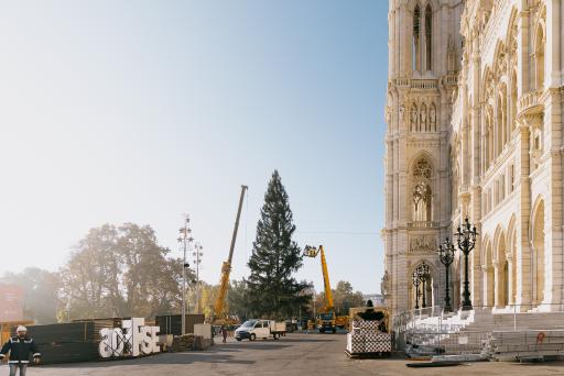 Der Weihnachtsbaum für den Wiener Christkindlmarkt wurde am
Morgen auf dem Rathausplatz aufgestellt.