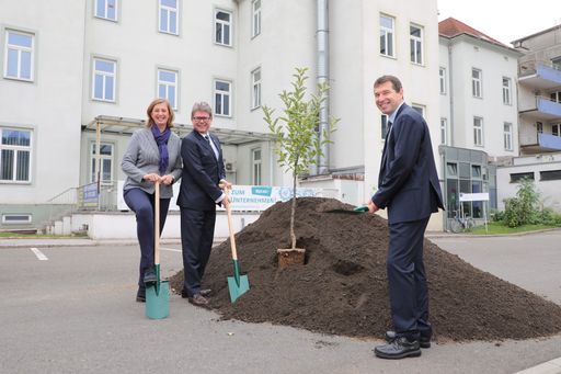 Symbolischer Spatenstich für das neue Green Startup Center Leoben
(v.l.): LR Barbara Eibinger-Miedl, Minister Martin Polaschek und
Vizerektor Helmut Antrekowitsch