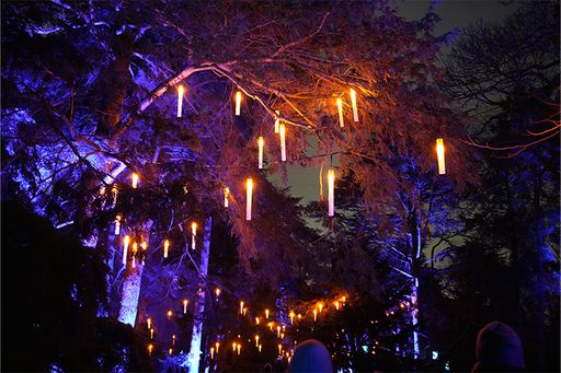 Vorschau Bild von Floating Candles 2024
