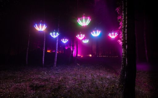 Vorschau Bild von It's Raining Light 2024