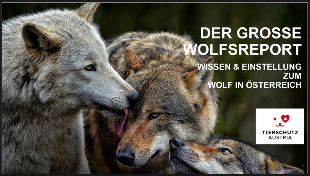 This is how Austria really thinks about the wolf