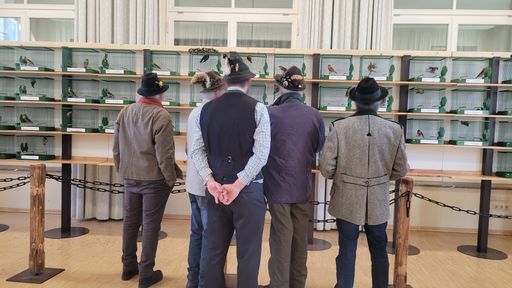 Beim Vogelfang werden Gimpel, Zeisig, Kreuzschnabel und Stieglitz
zunächst mit Netzen und Fallen gefangen, um sie dann in winzigen
Käfigen in der Adventszeit öffentlich auszustellen und sie im
Frühjahr, sofern sie noch am Leben sind, wieder frei zu lassen. Der
Vogelfang dient keinerlei wirtschaftlichen Interessen, sondern
ausschließlich der Traditionspflege und der Freude am Fangen wilder
Tiere.