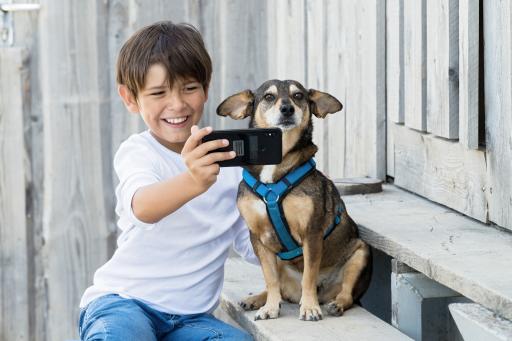 Vorschau Bild von Im Unterrichtsheft "Tierprofi-Heimtiere" lernen Kinder die
Bedürfnisse von Hunden, Katzen, Kaninchen, Wellensittichen,
Meerschweinchen, Ratten, Aquariumfischen, Rennmäusen und
Zwerghamstern kennen. Das Heft kann in Klassenstärke kostenlos,
exkl. Versand, bestellt werden: www.tierschutzmachtschule.at
ACHTUNG! Das Foto darf nur in Zusammenhang mit dieser Meldung
verwendet werden.