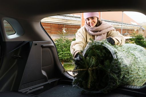 ARBÖ: Safe Christmas tree transport