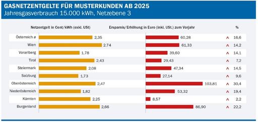 Gasnetzentgelte für Musterkunden ab 2025; Quelle: E-Control
