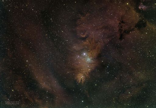  Im Zentrum meiner 9,5 stündigen Aufnahmen erstrahlt diese
Sternenlandschaft des Weihnachtsbaum-Sternhaufens (NGC 2264) in
voller Pracht. Wie ein riesiger, kosmischer Weihnachtsbaum,
geschmückt mit funkelnden Lichtern! Diese „Lichter“ sind junge,
massereiche Sterne, die in einer dreieckigen Form angeordnet sind,
wie die Äste einer Tanne. Sie sind erst wenige Millionen Jahre alt
und strahlen mit einer blendenden bläulich-weißen Helligkeit. Ihre
Energie ist so immens, dass sie das umliegende Gas zum Leuchten
bringen.