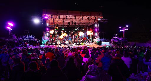 Vorschau Bild von Stars auf der Musi Bühne