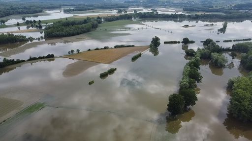 Annual balance 2024 – Austria’s agriculture is freezing, burning and drowning at the same time