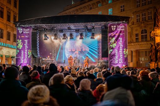 Vorschau Bild von Eine der acht Bühnen beim Wiener Silvesterpfad 2024
