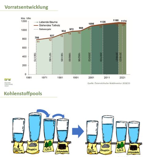  Grafik zur Österreichischen Waldinventur - Holzvorrat und
Kohlenstoffspeicherung