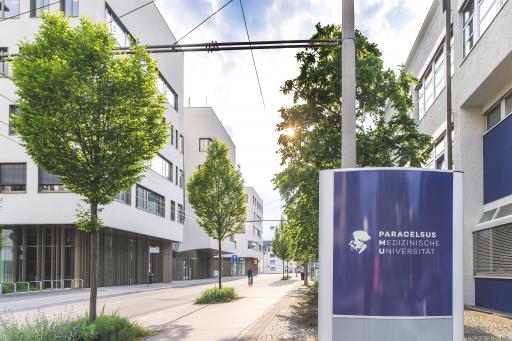 Vorschau Bild von Paracelsus Universität Campus