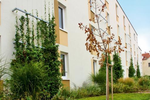 Vorschau Bild von Begrünte Außenfassade im Innehof der Stockhammergasse /
Fabriksgasse