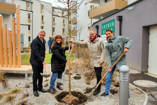 Vorschau Bild von Baumpflanzung nach Schlüsselübergabe