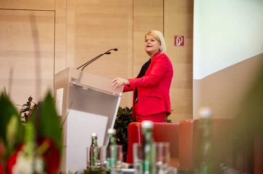 Vorschau Bild von Tanner bei Präsentation Risikobild