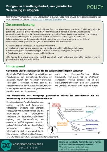 Vorschau Bild von Policy Brief_Deutsch