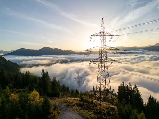 APG Salzburgleitung Bei der Planung der neuen Salzburgleitung
wurden höchste Ansprüche an den Schutz von Menschen und Natur
gestellt. Mehr als 47 Millionen Euro wurden in Naturschutzmaßnahmen
und den Erhalt der Biodiversität im Bundesland Salzburg investiert.