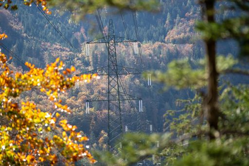 Vorschau Bild von APG Salzburgleitung Bei der Planung der neuen Salzburgleitung
wurden höchste Ansprüche an den Schutz von Menschen und Natur
gestellt. Mehr als 47 Millionen Euro wurden in Naturschutzmaßnahmen
und den Erhalt der Biodiversität im Bundesland Salzburg investiert.