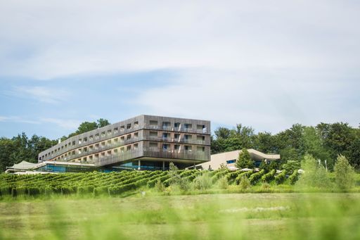 Partnership with Limestone Capital for Loisium Wine & Spa Hotels