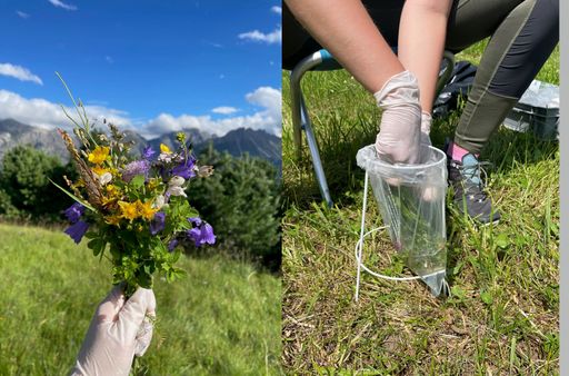 10 years of the Abol & Days of Biodiversity from 25.