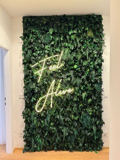 Vorschau Bild von Feel Alive Clinic im Inneren. Ein Ort voller Harmonie, Gesundheit
und Schönheit.