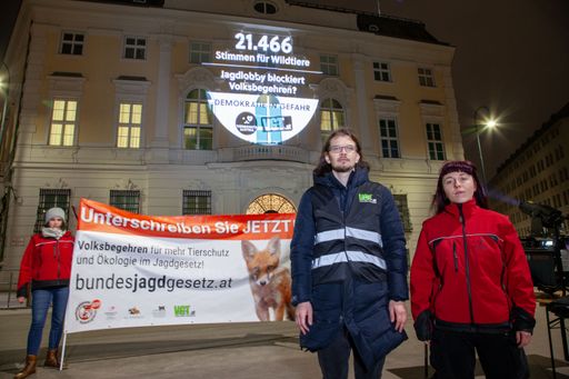  Mit einer eindrucksvollen nächtlichen Projektion auf das
Bundeskanzleramt haben Tierschutz Austria und der Verein gegen
Tierfabriken (VGT) ihren Protest gegen die Behördenentscheidung, das
Volksbegehren "Für ein Bundes-Jagdgesetz" nicht zuzulassen,
öffentlich gemacht.