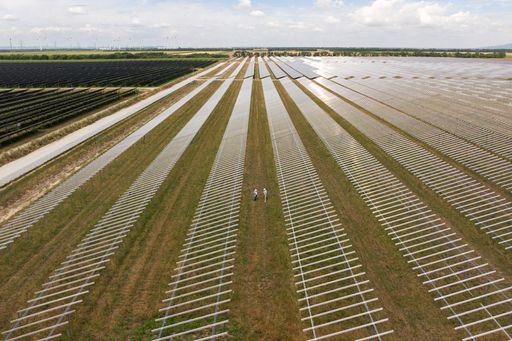 Vorschau Bild von Bauphase Nickelsdorf II: Im Sommer 2024 nahm das Agri-PV-Projekt
Nickelsdorf II auf 53 Hektar sichtbar Form an. Gerhard Zapfl,
Bürgermeister von Nickelsdorf, und Lukas Püspök, Geschäftsführer der
PÜSPÖK Unternehmensgruppe, verschafften sich vor Ort einen Eindruck