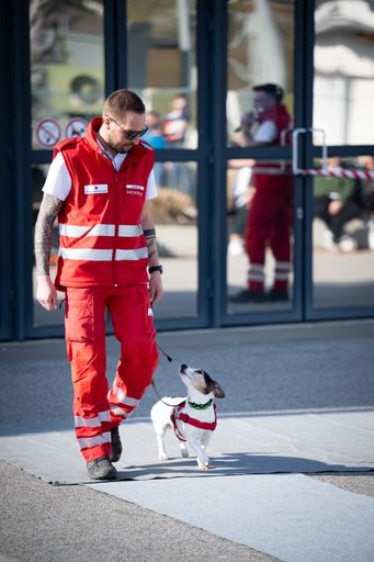 Vorschau Bild von Vorführung der Hundestaffel bei der Job- und Bildungsmesse