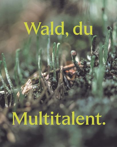  Vielfalt braucht Bewirtschaftung
