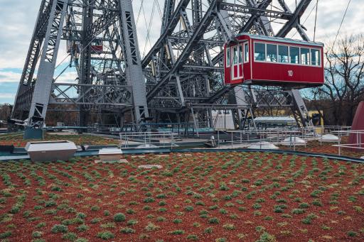 Vorschau Bild von WIENER RIESENRAD Dachbegrünung