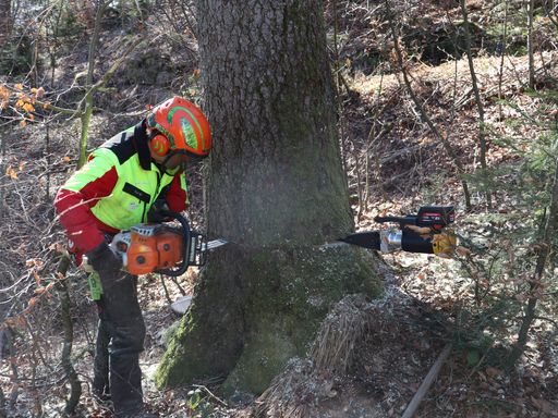 Vorschau Bild von Woodmaster 2025: Fachveranstaltung der AUVA setzt Maßstäbe für
sichere Forstarbeit