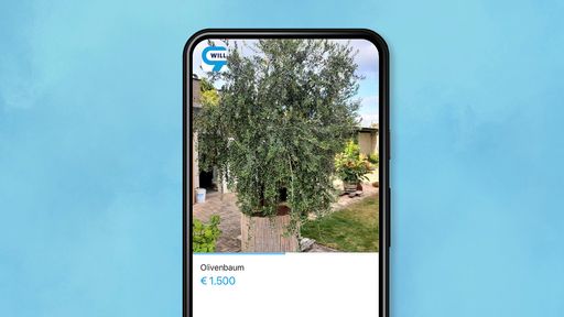 Vorschau Bild von Suchtrend: Olivenbäume und Hochbeete auf willhaben heuer bereits
sehr gefragt