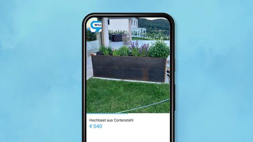 Suchtrend: Olivenbäume und Hochbeete auf willhaben heuer bereits
sehr gefragt