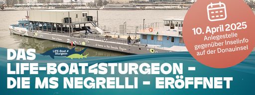  Das LIFE-Boat4Sturgeon - die MS Negrelli - eröffnet am 10. April
2025.