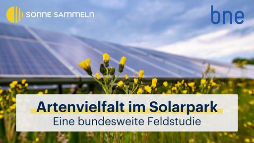  Artenvielfalt im Solarpark - Eine bundesweite Feldstudie //
Weiterer Text über ots und www.presseportal.de/nr/81312 / Die
Verwendung dieses Bildes für redaktionelle Zwecke ist unter
Beachtung aller mitgeteilten Nutzungsbedingungen zulässig und dann
auch honorarfrei. Veröffentlichung ausschließlich mit
Bildrechte-Hinweis.