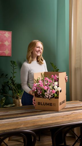 Vorschau Bild von Die Blumenwelt in Österreich bekommt Zuwachs – Deutschlands
größter Blumen- und Pflanzenhändler startet in Österreich seinen
internationalen Wachstumskurs.