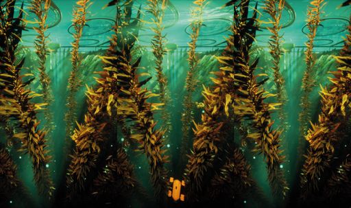 Superflux, "The Seas Are No Longer Dying", 2022 Produziert von
Superflux in Abstimmung mit Safe Seaweed Coalition und in
Zusammenarbeit mit Cream Projects und David Vélez Filmstill ©
Superflux