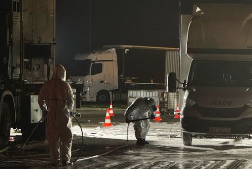 Vorschau Bild von Maul- und Klauenseuche in der Slowakei - Bundesheer im Einsatz