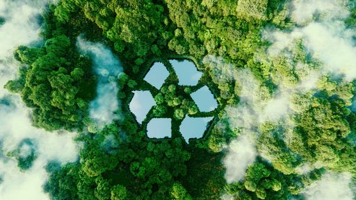 Umweltgifte effektiv loswerden: Wie die innovative INUSpherese®
im Alltag hilft