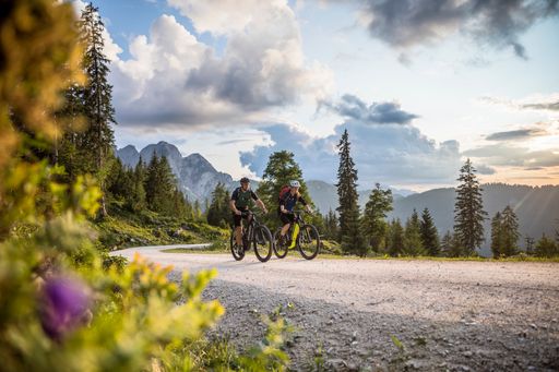 Vorschau Bild von Mountainbiken am Gosaukamm / Foto: Ferienregion Dachstein
Salzkammergut / WOM GmbH / Andreas Meyer // Weiterer Text über ots
und www.presseportal.de/nr/177283 / Die Verwendung dieses Bildes für
redaktionelle Zwecke ist unter Beachtung aller mitgeteilten
Nutzungsbedingungen zulässig und dann auch honorarfrei.
Veröffentlichung ausschließlich mit Bildrechte-Hinweis.